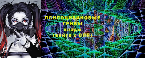 PSILOCYBIN Переславль-Залесский