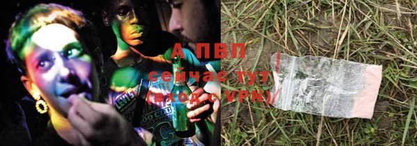 apvp Алексин