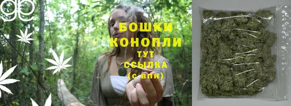 прущая мука Пересвет