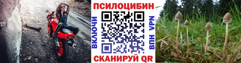 ссылка на мегу рабочий сайт  Алексеевка  Галлюциногенные грибы прущие грибы 